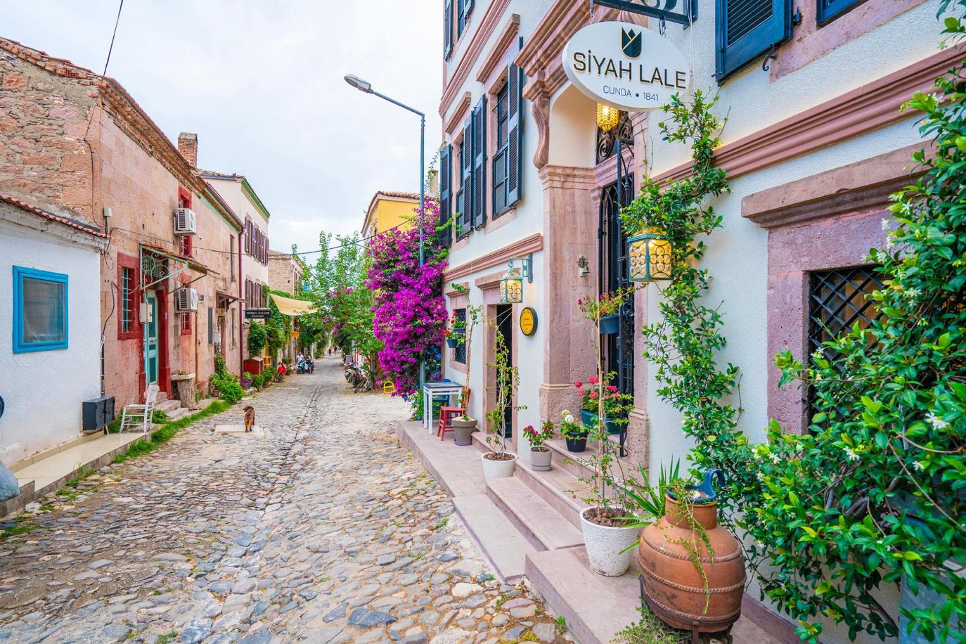 Hotel Siyah Lale Cunda 1841 (Adults Only) Ayvalı Exterior foto