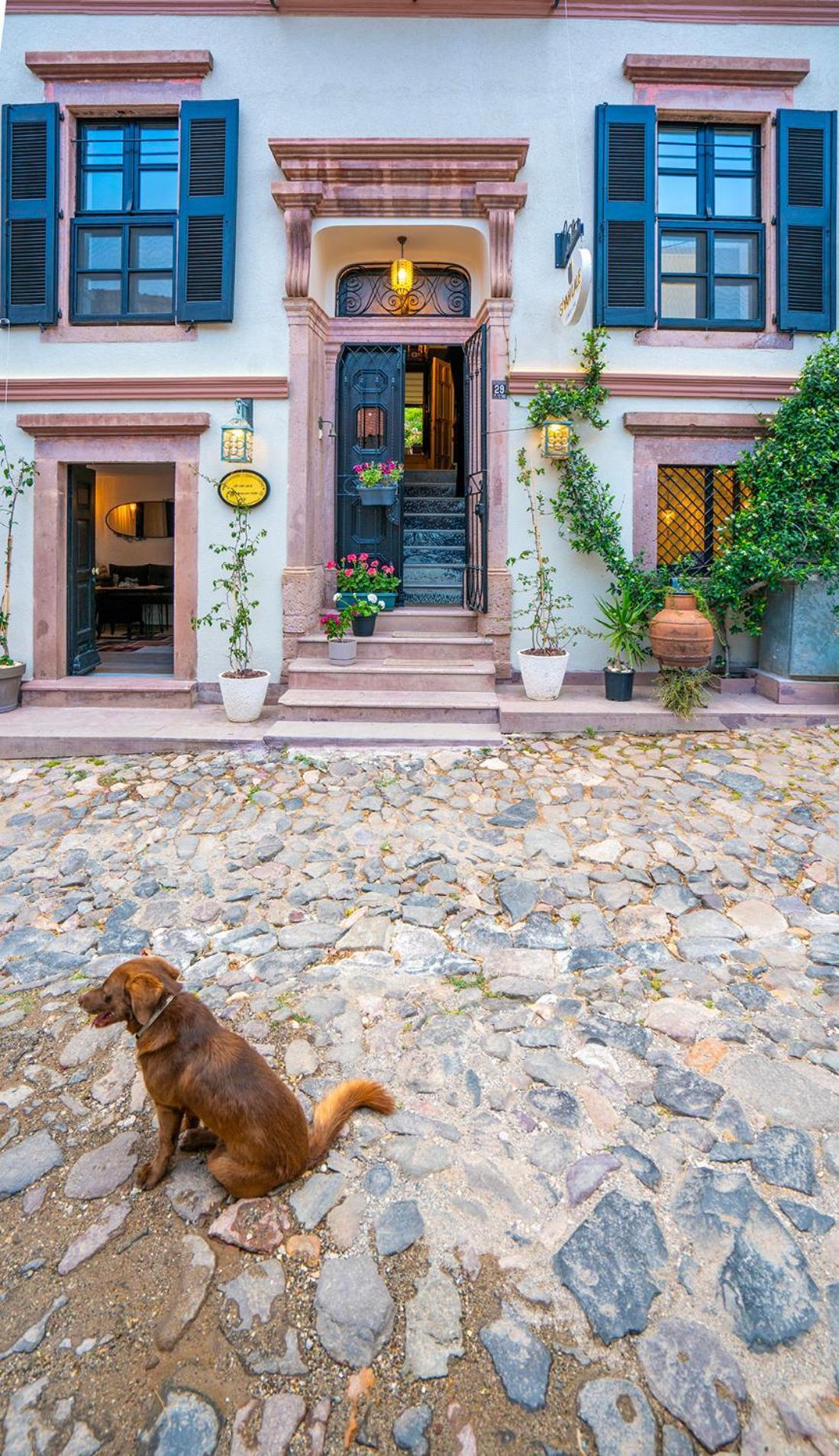 Hotel Siyah Lale Cunda 1841 (Adults Only) Ayvalı Exterior foto